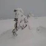 's Jaegermatt Oda ve Kahvaltı