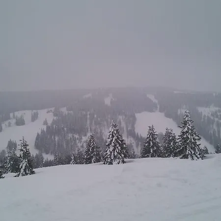 's Jaegermatt Couette-café Feldberg (Baden-Wurttemberg)