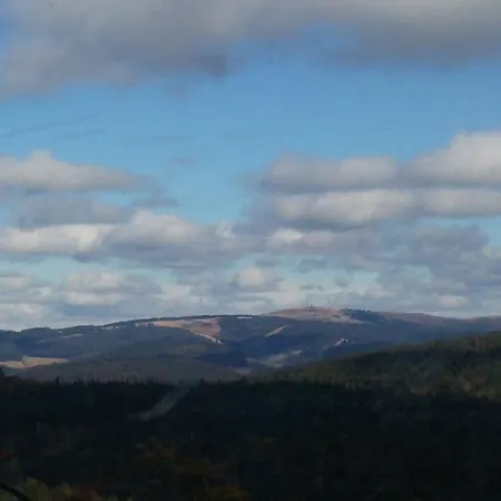 לינה וארוחת בוקר 's Jaegermatt 2*