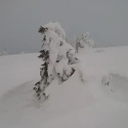 's Jaegermatt לינה וארוחת בוקר