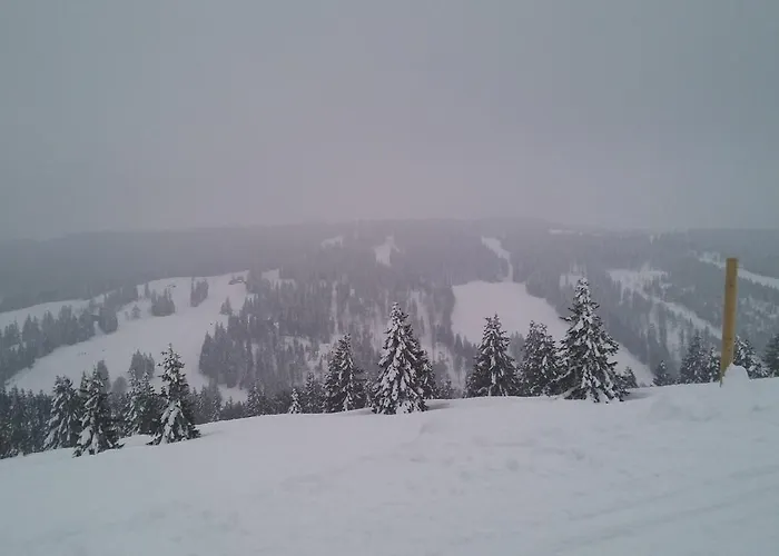 's Jägermatt Bed & Breakfast Feldberg (Baden-Wurttemberg)